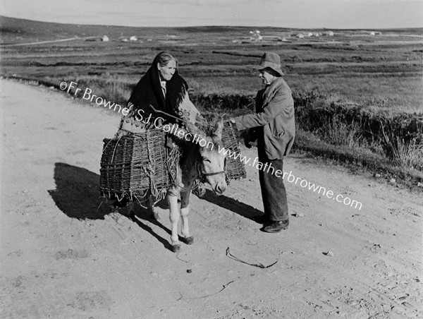 CONVERSATION ROAD TO ERRIS HEAD DONKEY WITH PANNIERS